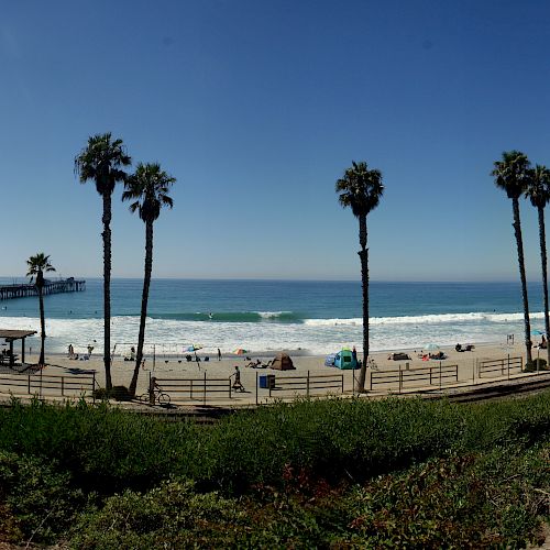 Panoramic view of a beach scene with palm trees, a pier, and waves crashing on the shore under a clear blue sky.