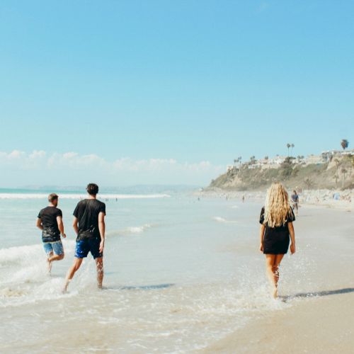 Four people walking along a beach with waves, clear skies, and cliffs in the background, with palm trees lining the coast.